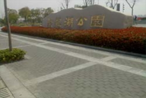 公園景觀透水磚實(shí)景