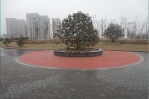 濱河風(fēng)景帶透水磚實(shí)景